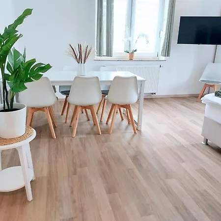 Platz Fuer Gruppen - 4 Schlafzimmer Mit Tv Lejlighed Ulm